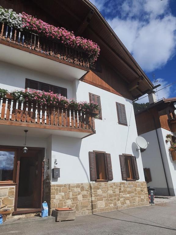 Casa Phoenix Appartamento Piano Terra Immerso Nel Verde A Pochi Minuti Dalla Ciclabile Pieve di Cadore Kültér fotó