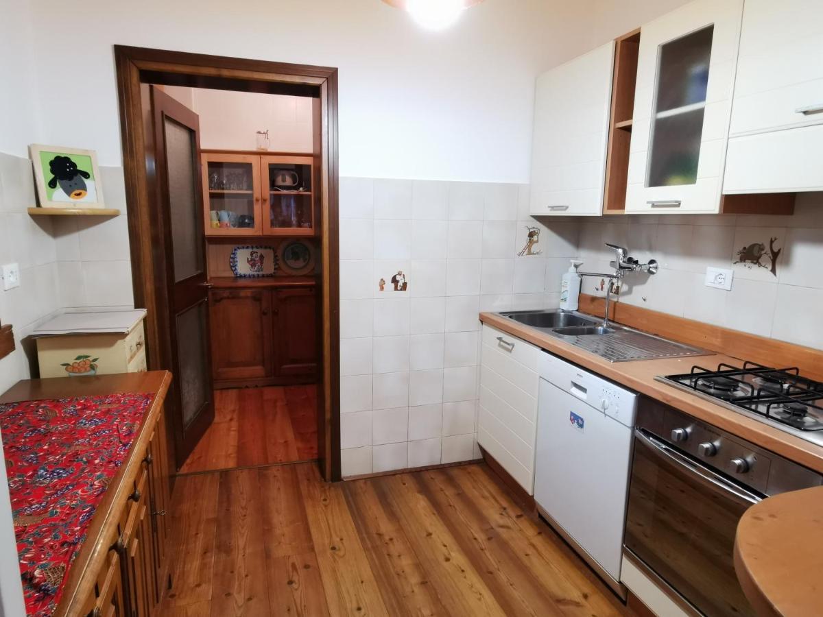 Casa Phoenix Appartamento Piano Terra Immerso Nel Verde A Pochi Minuti Dalla Ciclabile Pieve di Cadore Kültér fotó